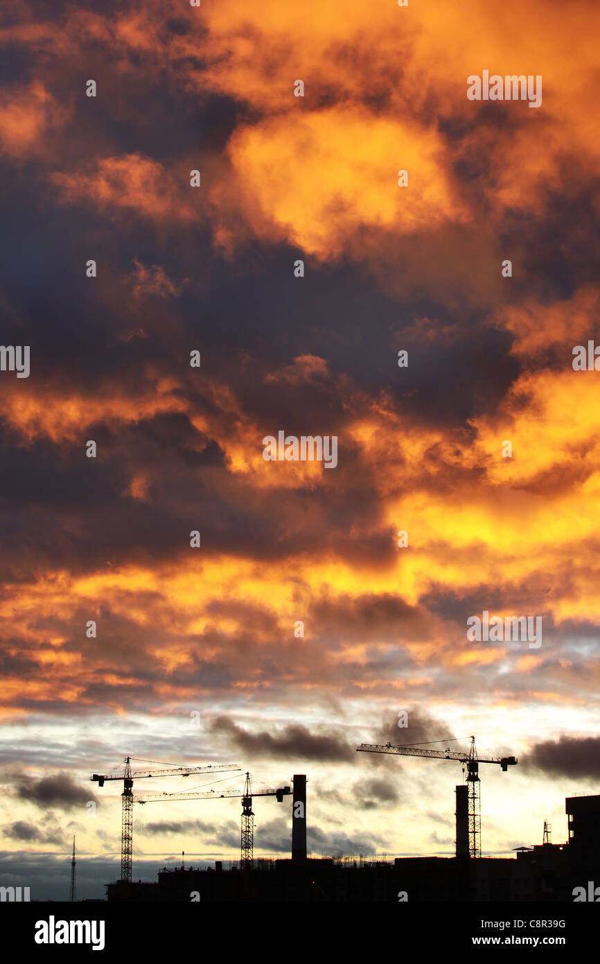 Un bel tramonto con gru Foto Stock