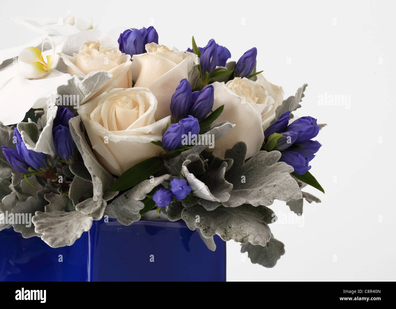 Un close-up di un colorato bouquet di fiori in un vaso. La crema di rose, 1 ortensie blu, bianco phalaenopsis, sconosciuto di gemme di colore viola. Foto Stock