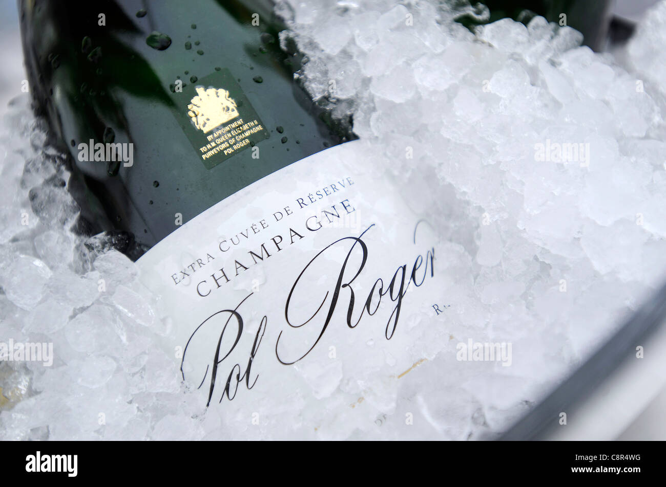 Dettaglio di una bottiglia di Pol Roger champagne raffreddamento in un secchiello per il ghiaccio. Foto Stock