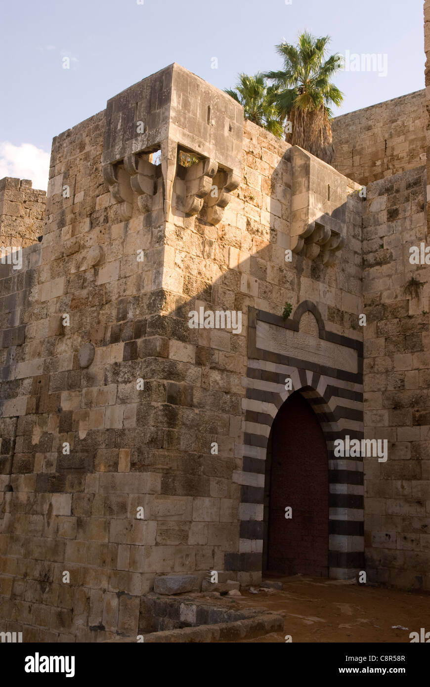 Ingresso alla cittadella di Raymond de St Gilles, Tripoli, nel nord del Libano. Foto Stock