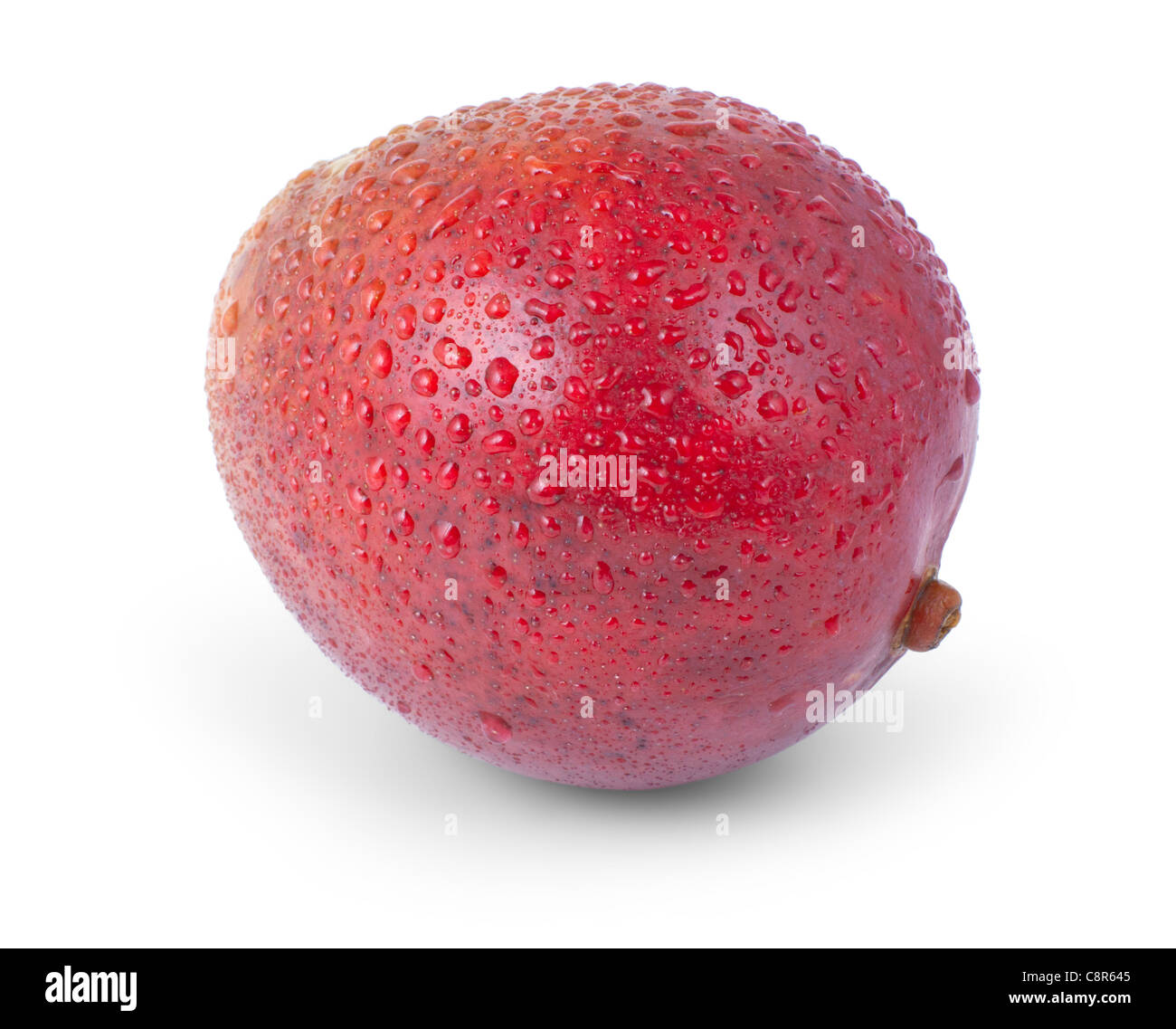 Mango isolati su sfondo bianco Foto Stock