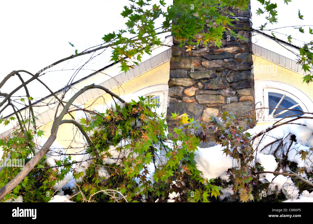 Chappaqua, New York 30 ottobre 2011- Freak Ottobre Blizzard colpisce il noi record di dumping quantità di neve. Fotografi home, proprietà release disponibile. Foto Stock