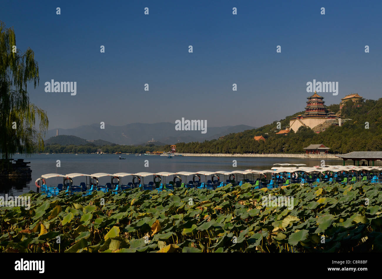 Barche a remi e stabilimenti Lotus sul Lago Kunming con fragranza buddista di Tempio a palazzo d'estate a Pechino in Cina Foto Stock