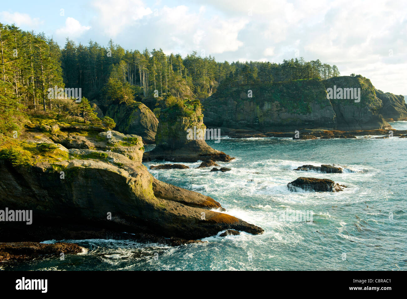 Oceano e costa rocciosa della zona remota Foto Stock