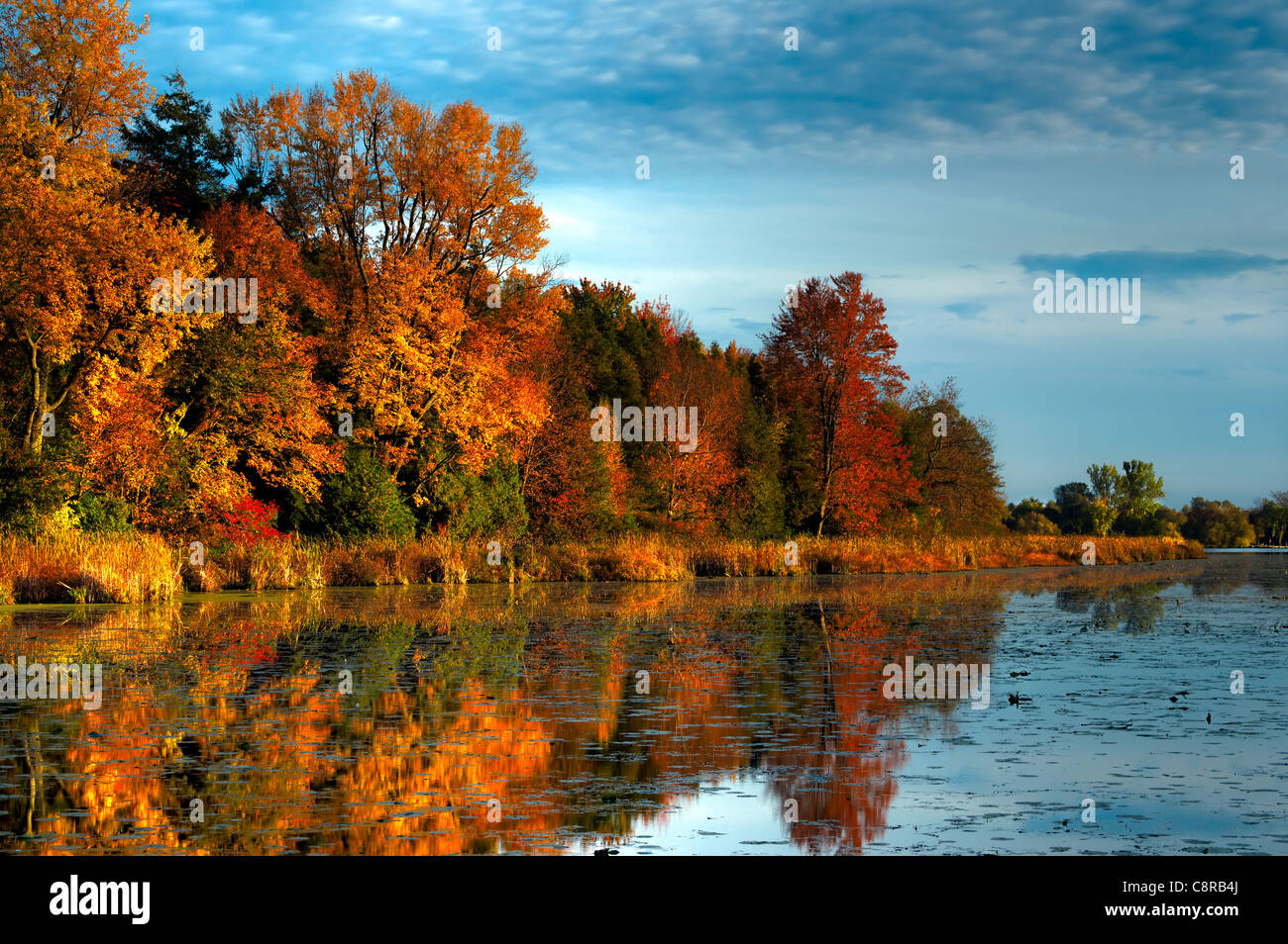 Un HDR paesaggio di una foresta in splendidi colori autunnali riflessa nelle acque di un fiume calmo in Ontario, Canada. Foto Stock