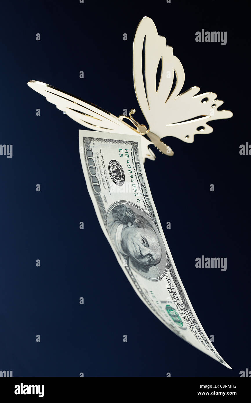 Butterfly Flying con American carta moneta Foto Stock