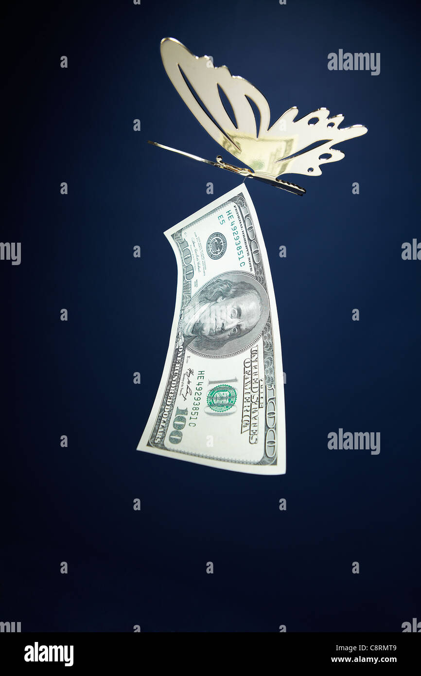 Butterfly Flying con American carta moneta Foto Stock