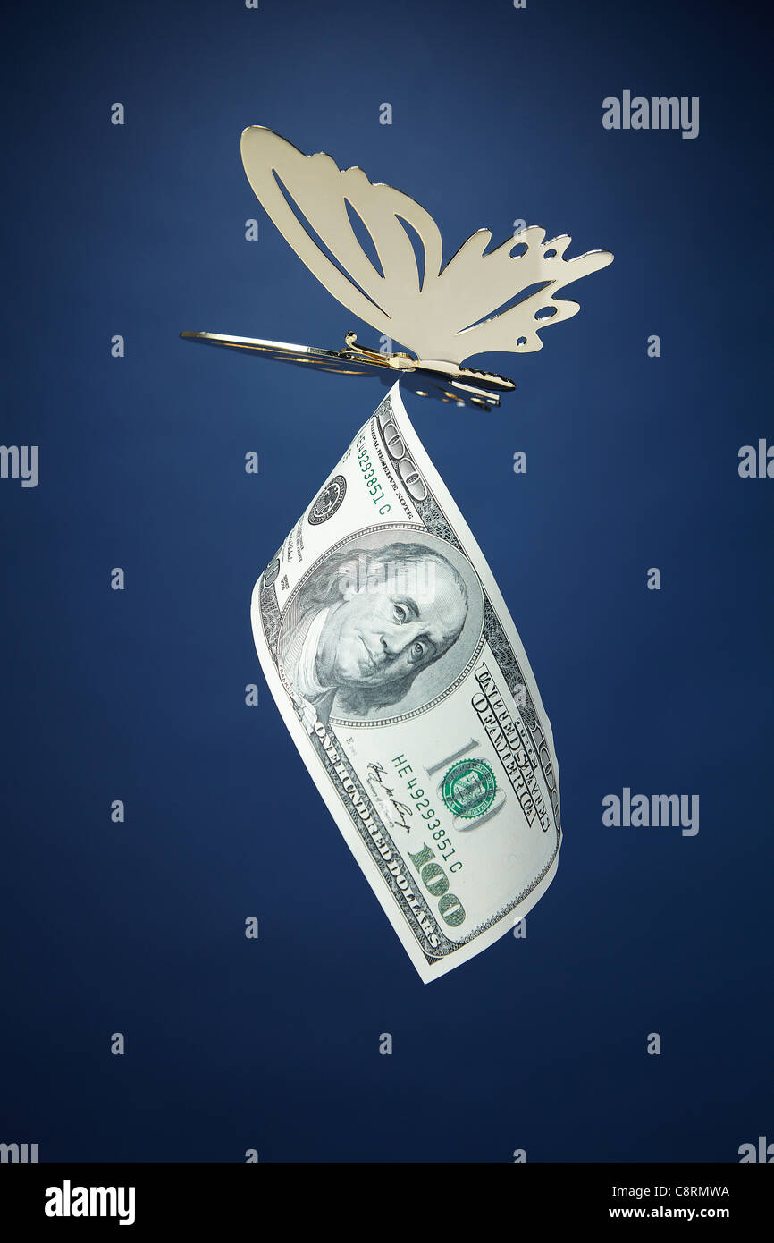 Butterfly Flying con ripiegato American carta moneta Foto Stock