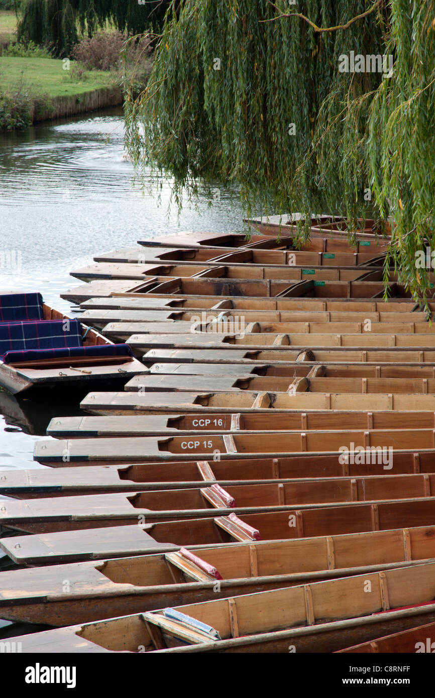 Svuotare sterline sul fiume Cam a Cambridge Foto Stock