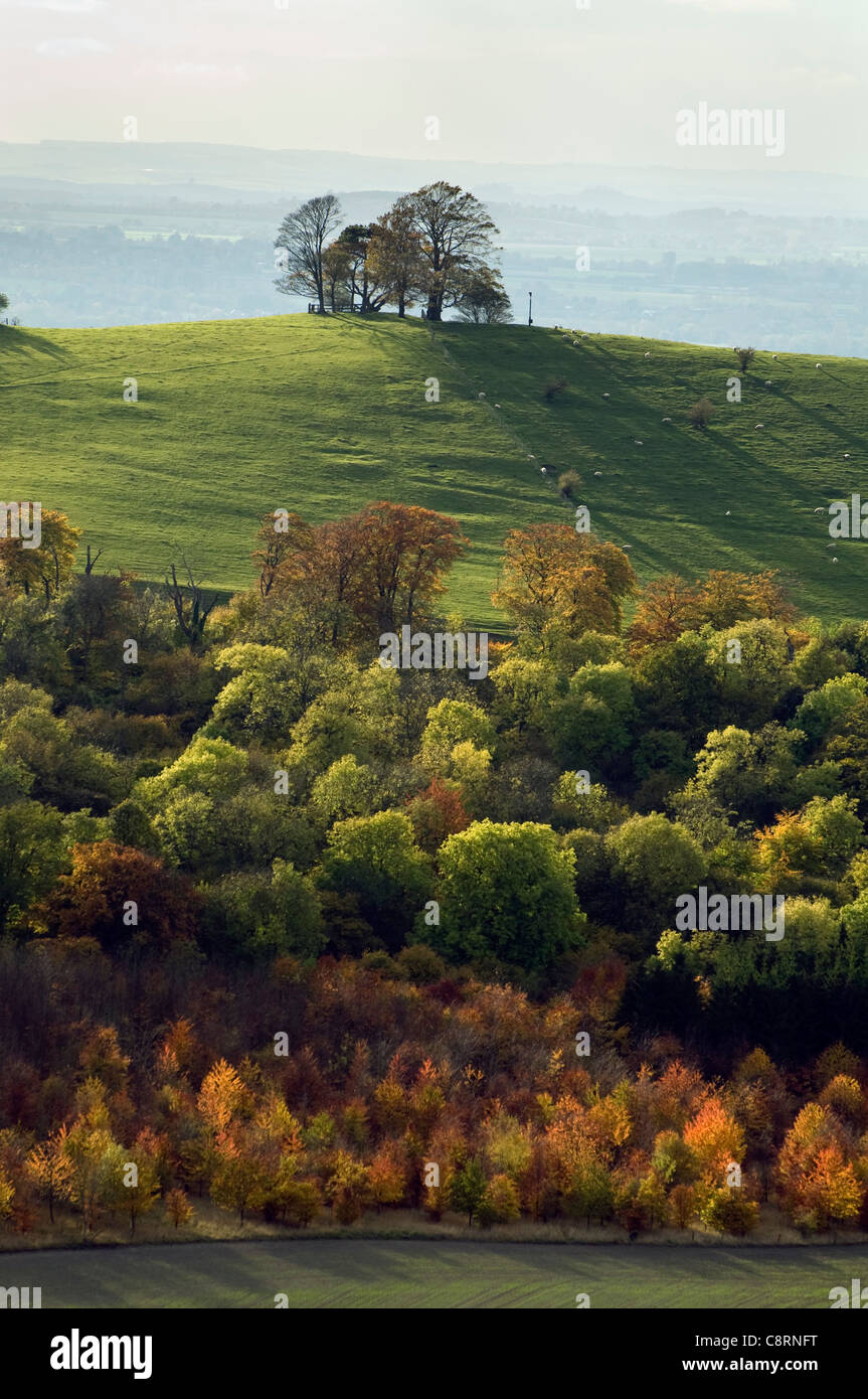 Vista dalla Coombe Hill verso Beacon Hill Bucks. Foto Stock