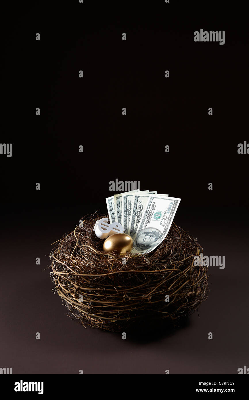 White il segno del dollaro americano e moneta note tenute in un nido di golden egg Foto Stock