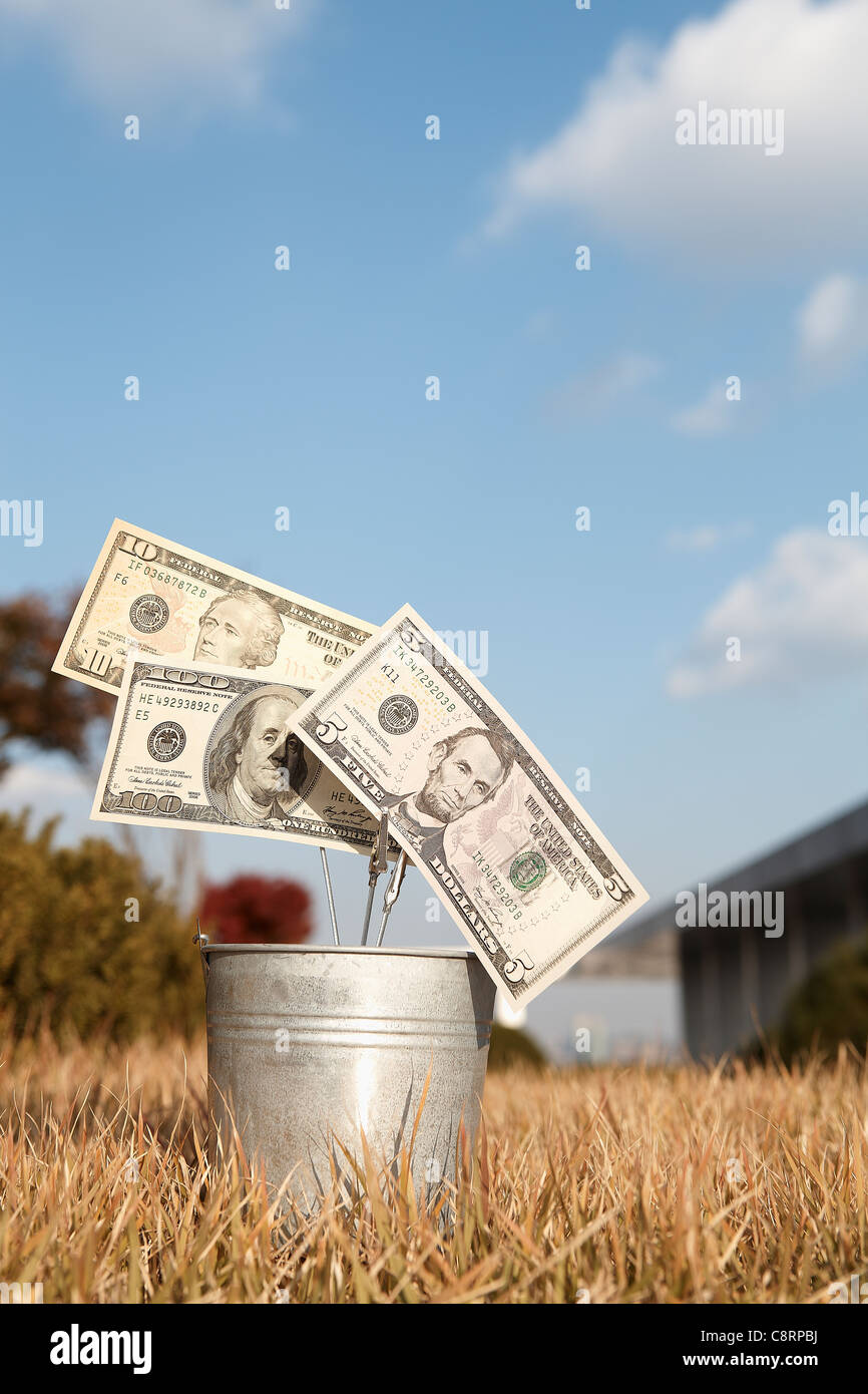 Benna di denaro conservati su erba secca Foto Stock