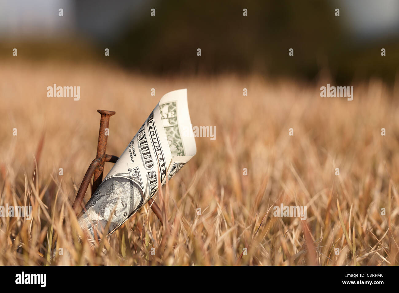 Valuta ripiegato nota lungo con chiodi mantenuto su erba secca Foto Stock