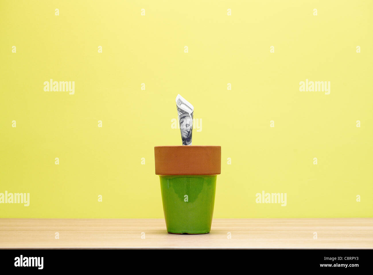 Arrotolato dollar sul vaso di fiori Foto Stock