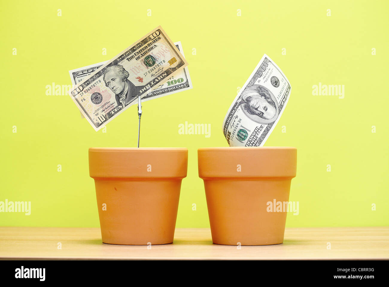 Tre American moneta note cresce su due vasi di fiori Foto Stock
