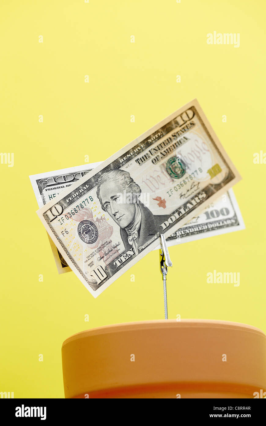 Close-up di due dollaro americano Bill crescente sul vaso di fiori Foto Stock