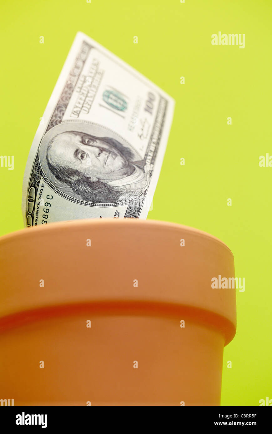 Close-up di un centinaio di dollari sul vaso di fiori Foto Stock