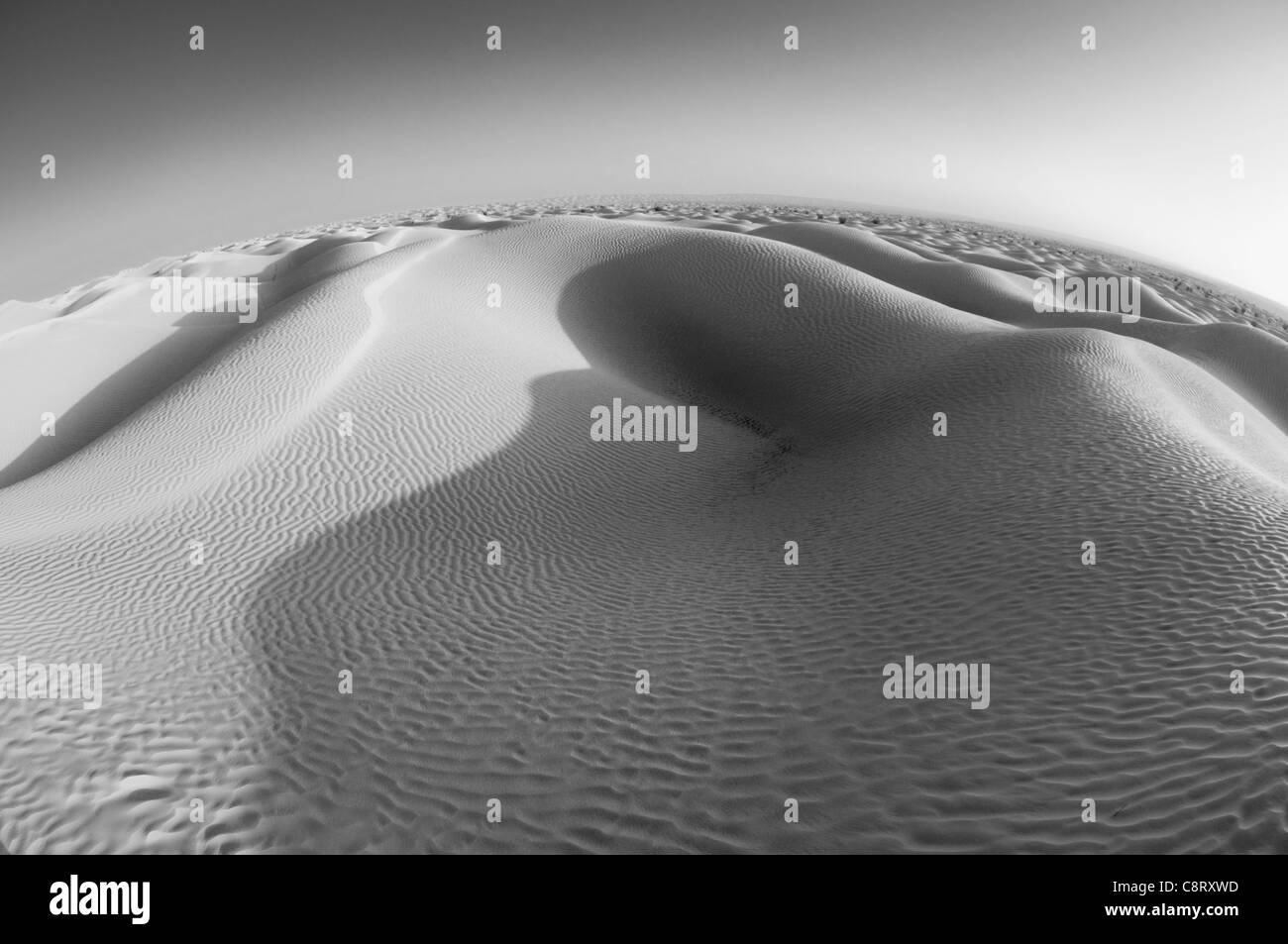 Africa, Tunisia, nr. Ksar Rhilane. Sunrise nelle dune di sabbia ad ovest di Ksar Ghilane sul bordo orientale del Grand Erg... Foto Stock