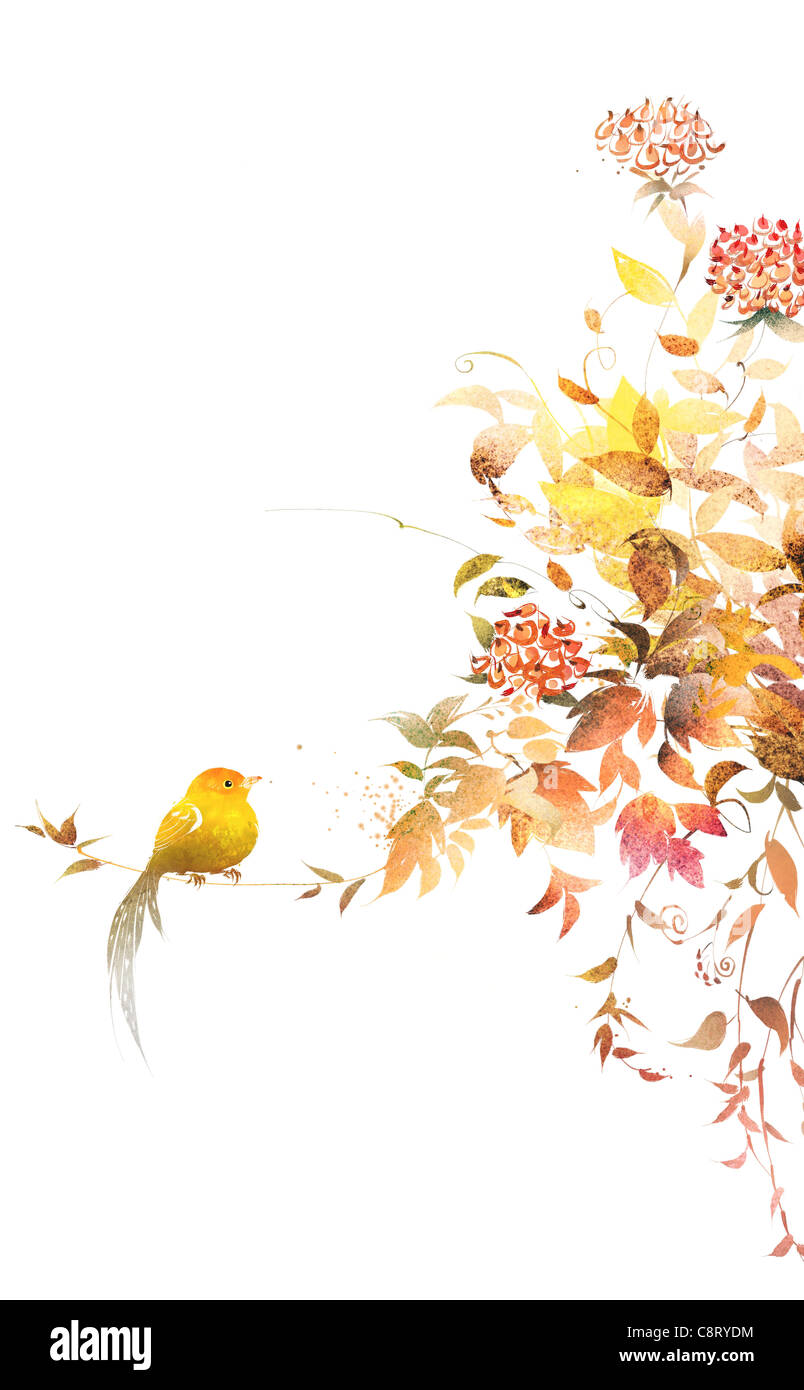 Bird su albero di fioritura Foto Stock