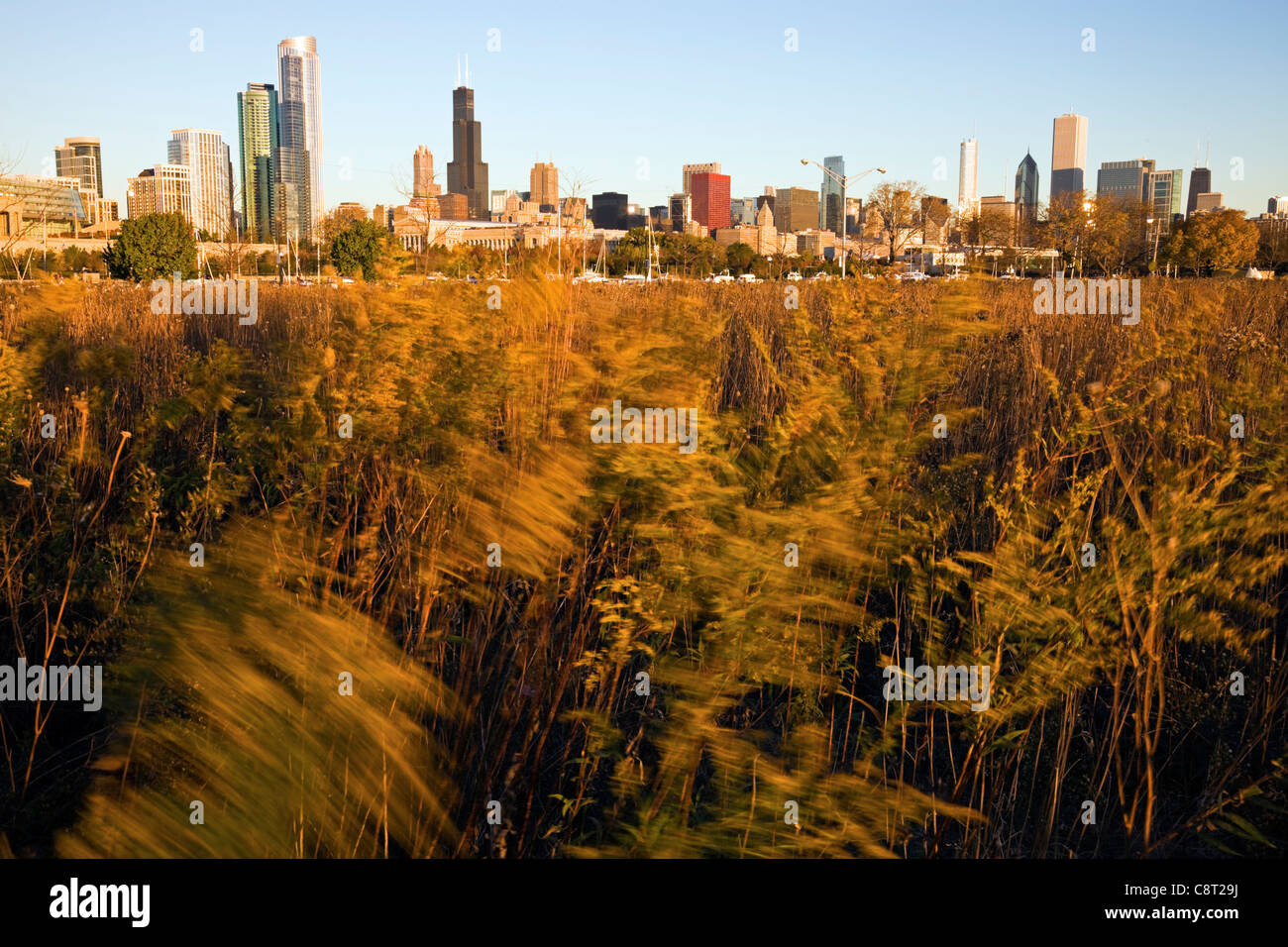 Chicago dall'Isola del nord Foto Stock