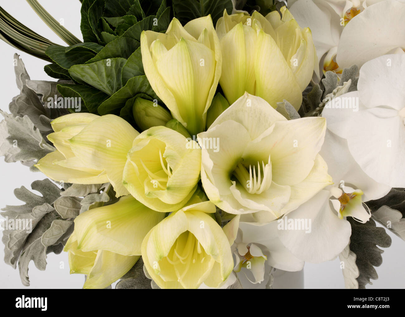 Un close-up di un colorato bouquet di fiori. Giallo e Bianco tulipani, bianco phalaenopsis orchidee Foto Stock