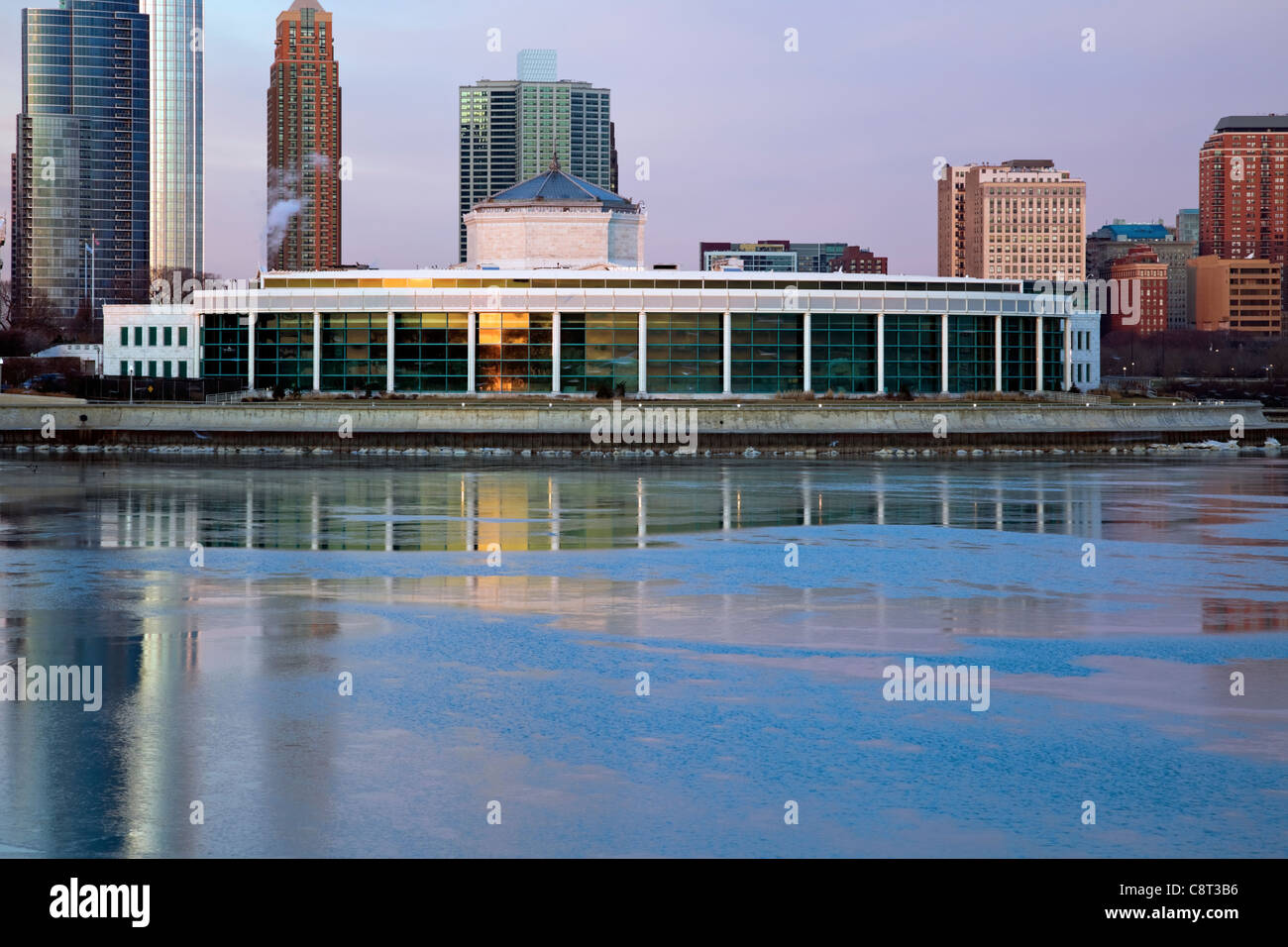 Shedd Aquarium di Chicago Foto Stock