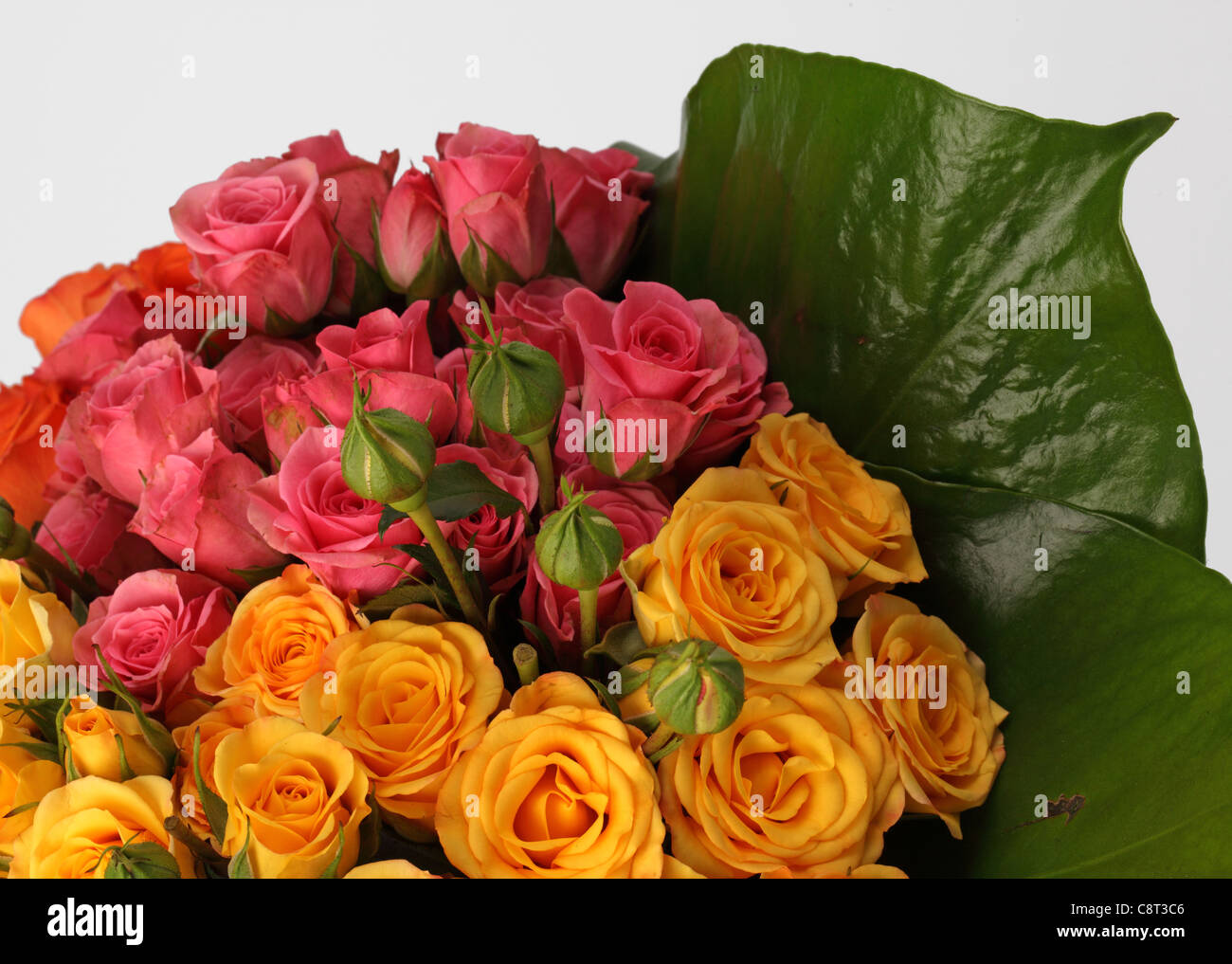 Un close-up di un colorato bouquet di fiori. Arancione, Rosa e giallo rose. Foto Stock
