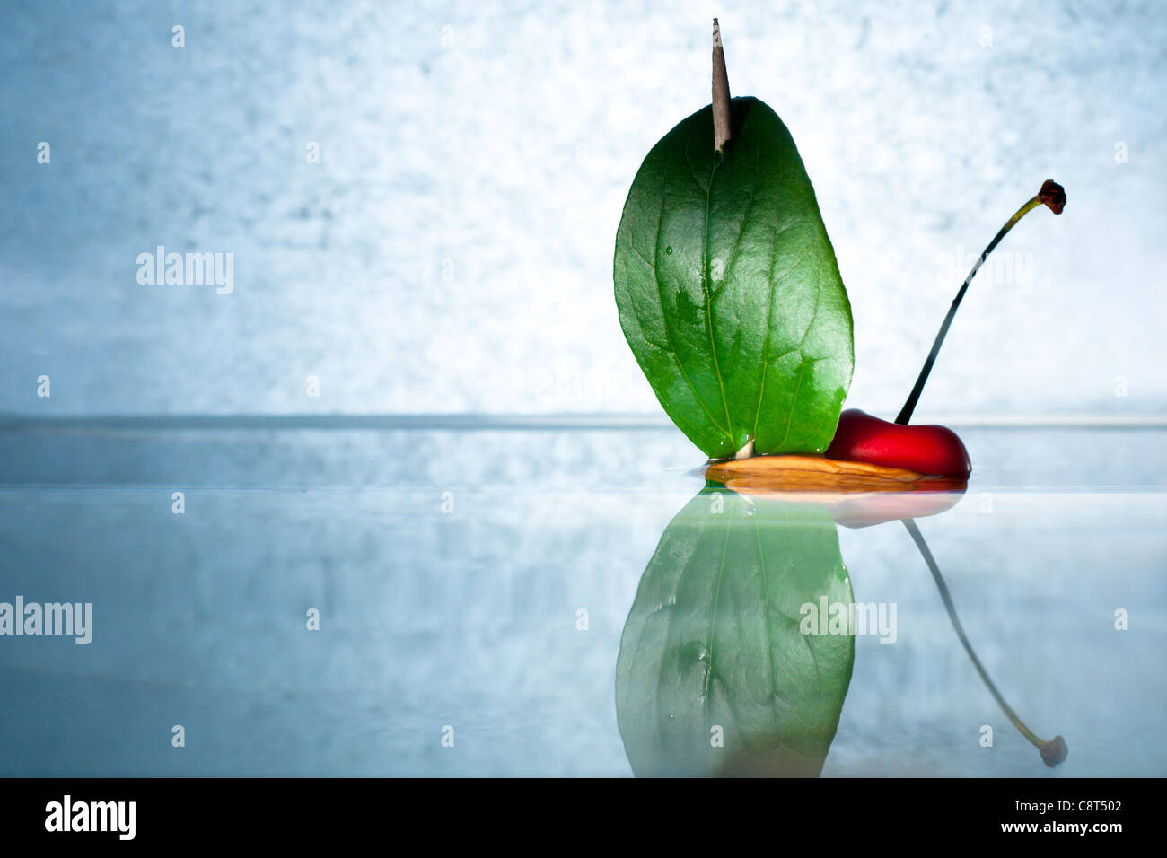 La ciliegia sulla breve barca Foto Stock