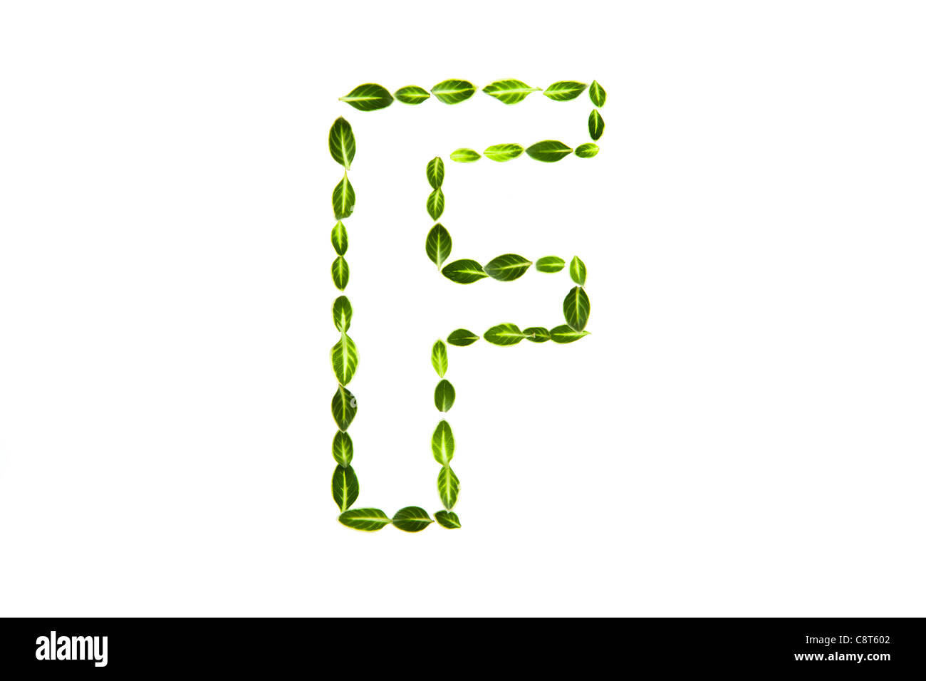Alfabeto F prelevato con foglie Foto Stock