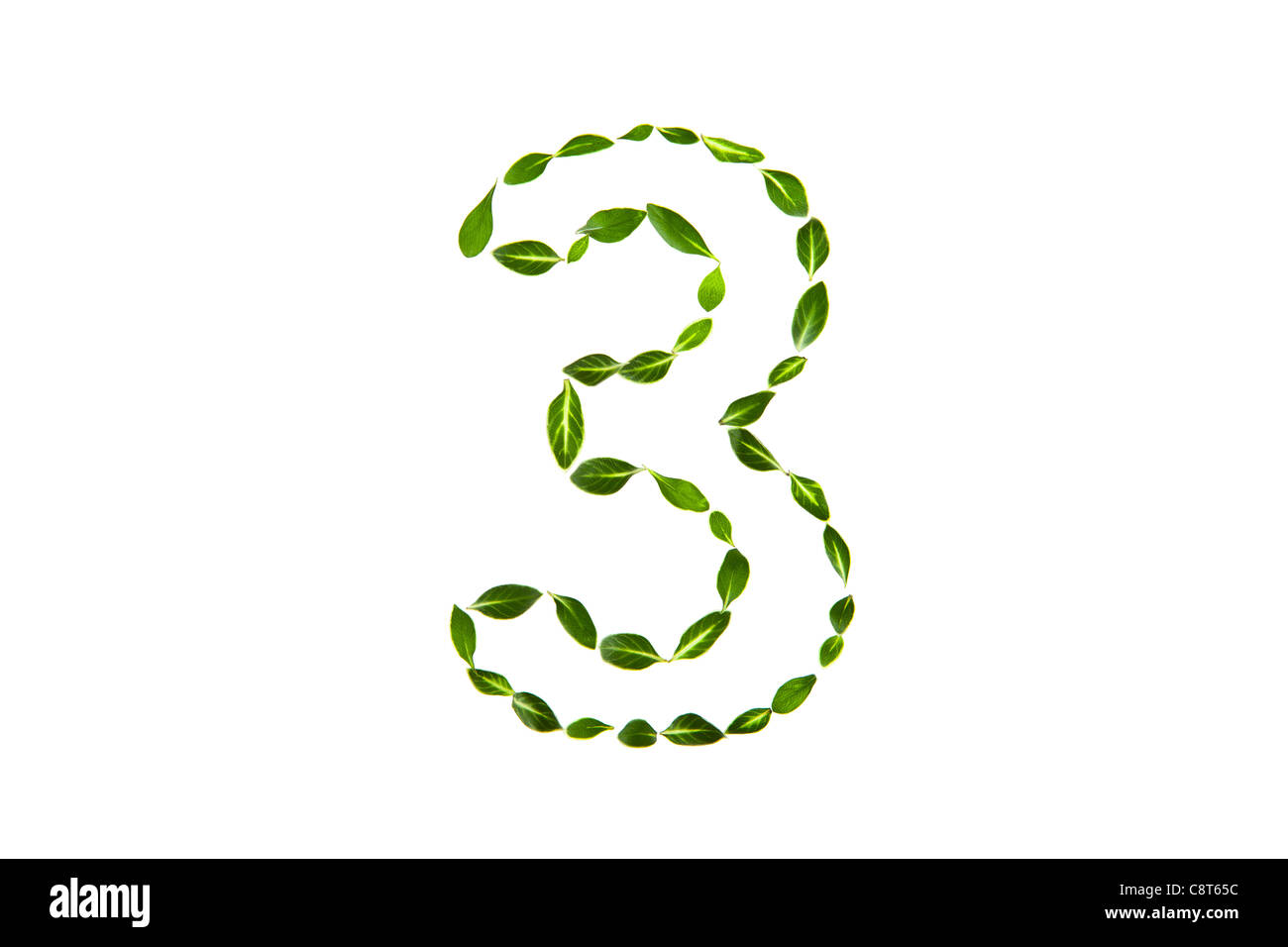 Numero 3 disegnato con foglie Foto Stock