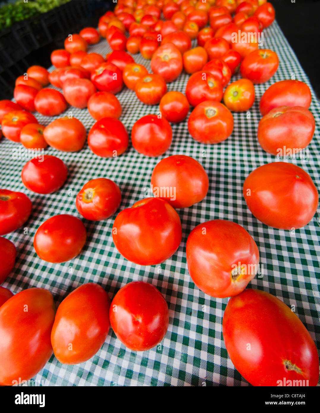 Stati Uniti d'America, New York City, pomodori sul tavolo Foto Stock