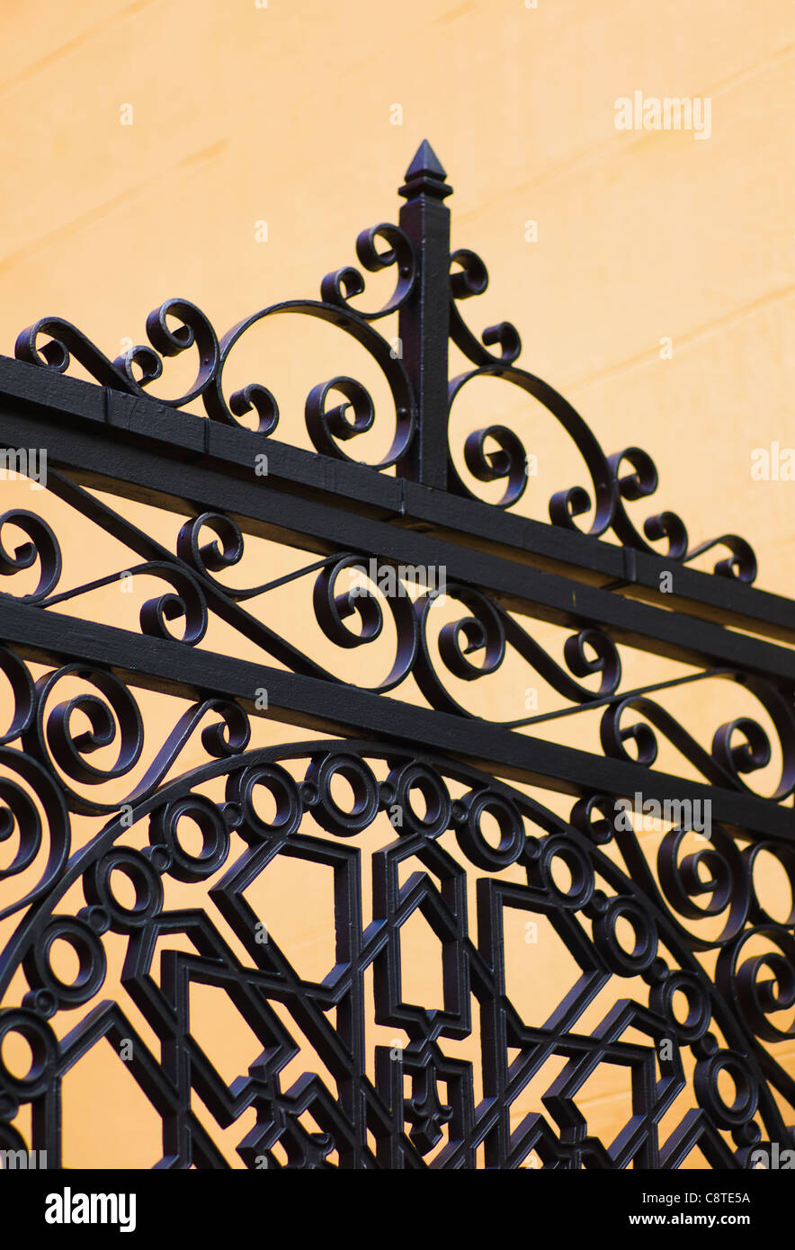 Stati Uniti d'America, Sud Carolina, Charleston, Close up ornati in dettaglio del cancello di ferro Foto Stock