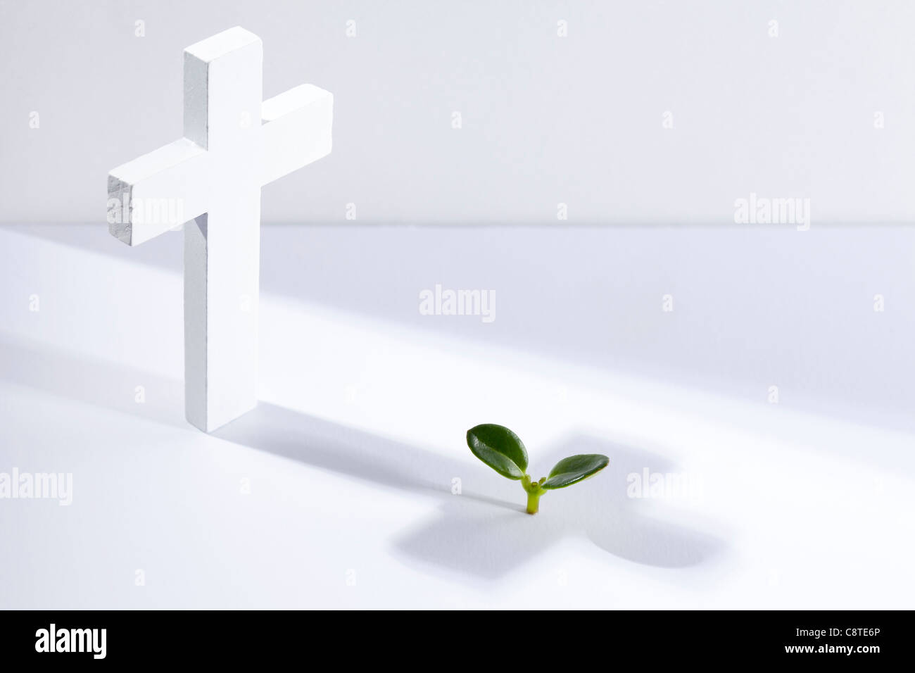 Studio shot di forma a croce e una piccola piantina in background Foto Stock