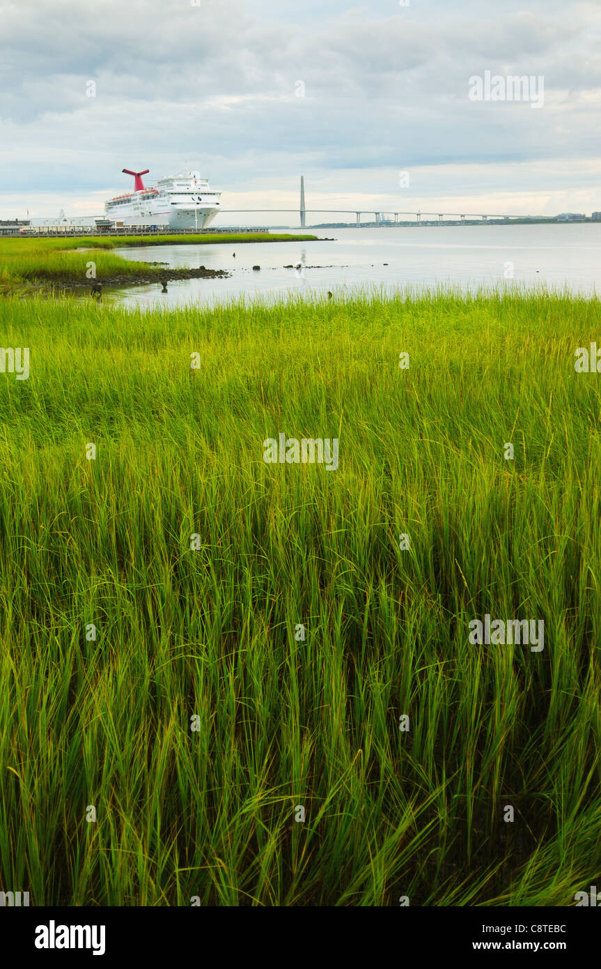 Stati Uniti d'America, Sud Carolina, Charleston, verde precipita sulla riva con traghetto in background Foto Stock