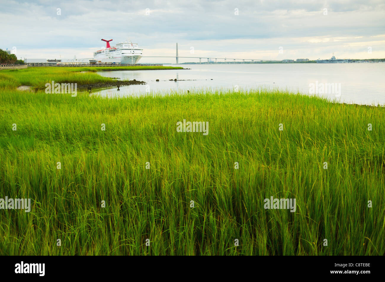Stati Uniti d'America, Sud Carolina, Charleston, verde precipita sulla riva con traghetto in background Foto Stock