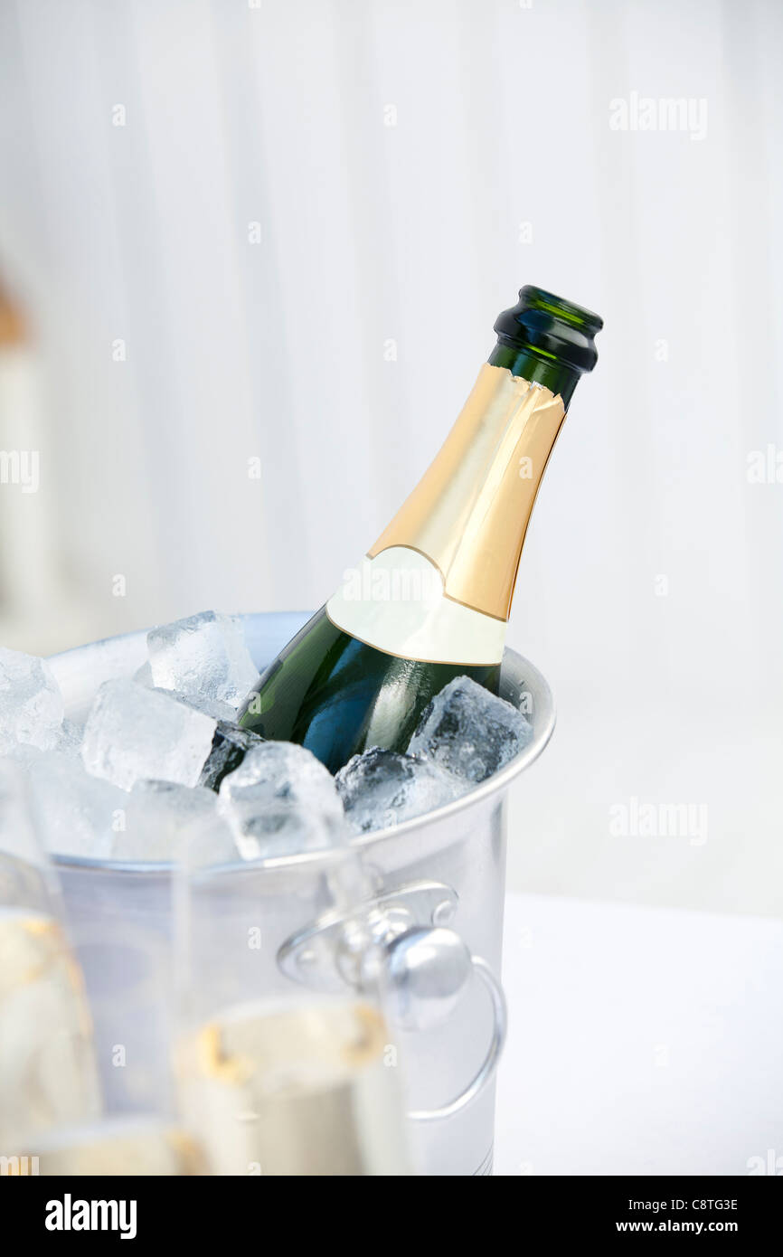 Close-up di bottiglia di vino nel secchiello del ghiaccio con vino bianco in vetro Foto Stock