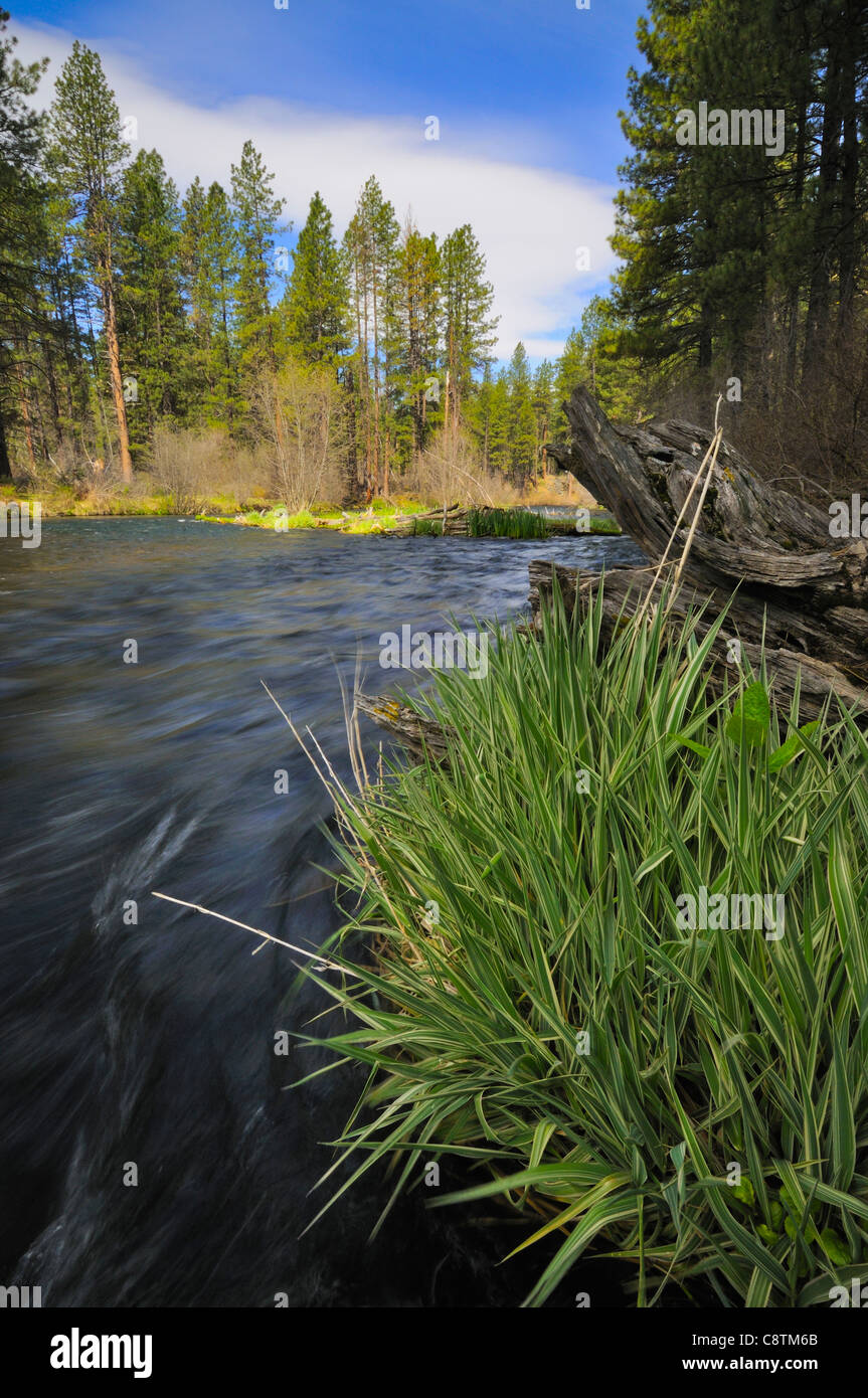 Stati Uniti d'America, Oregon, Deschutes County, Metolious River Foto Stock