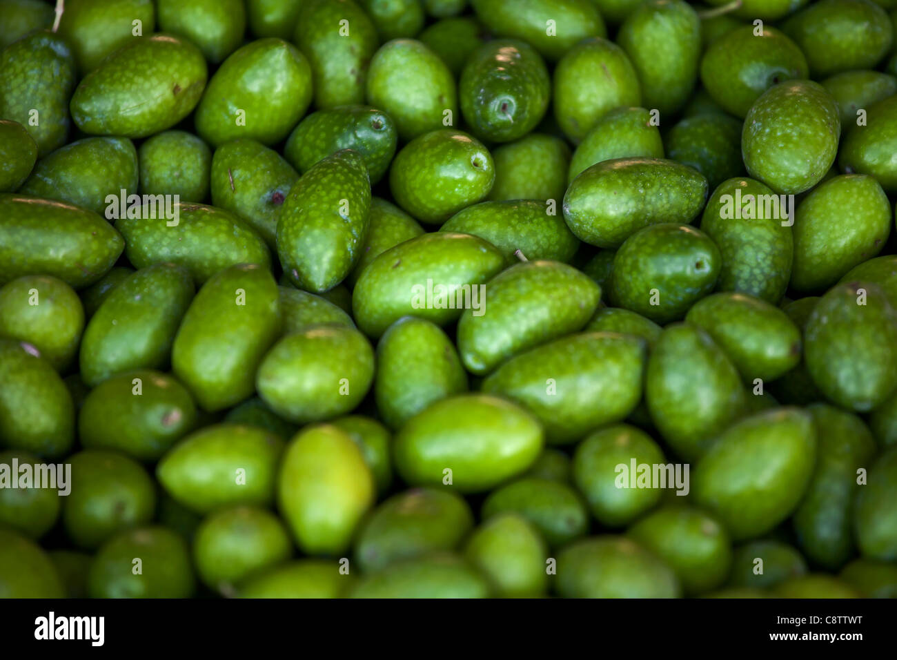 Fresco e verde, olive raccolte dalla struttura ad albero Foto Stock