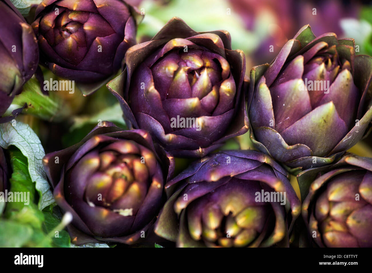 Carciofi freschi in un mercato italiano in stallo Foto Stock