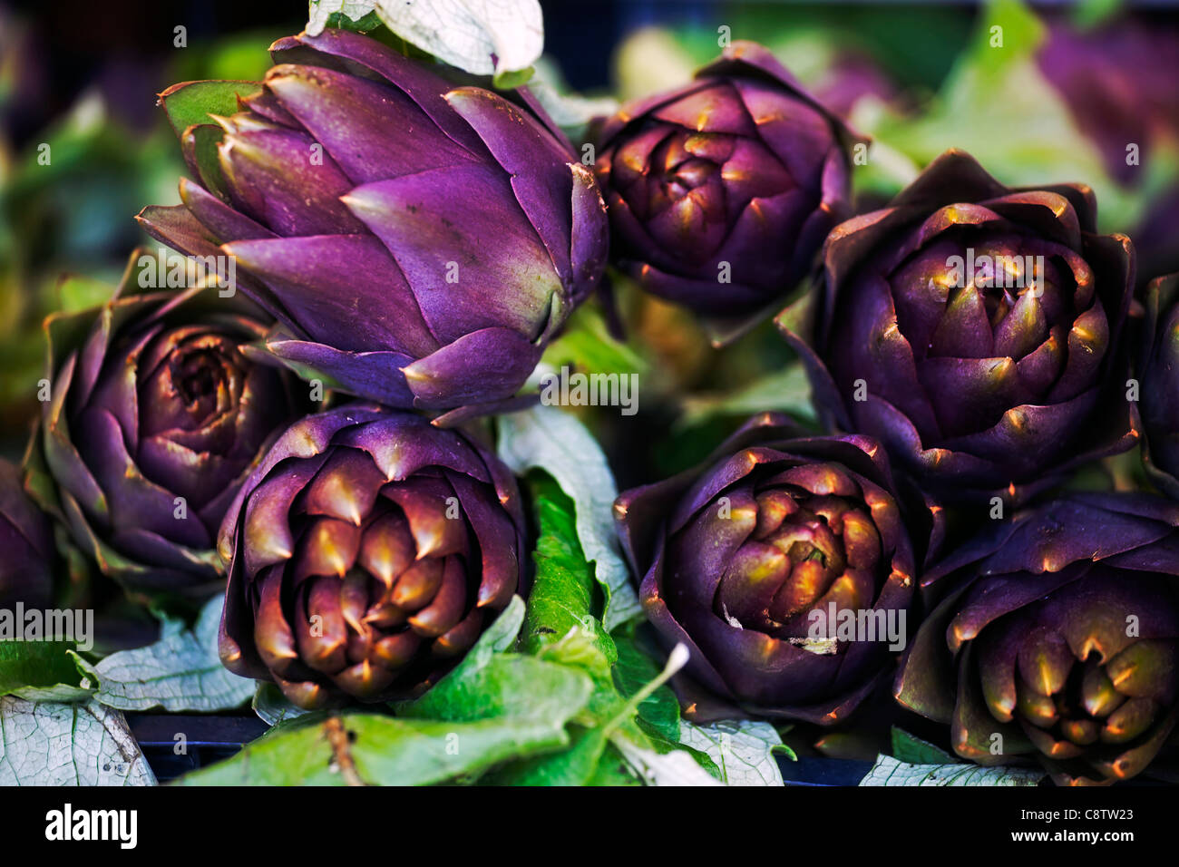 Carciofi freschi in un mercato italiano in stallo Foto Stock