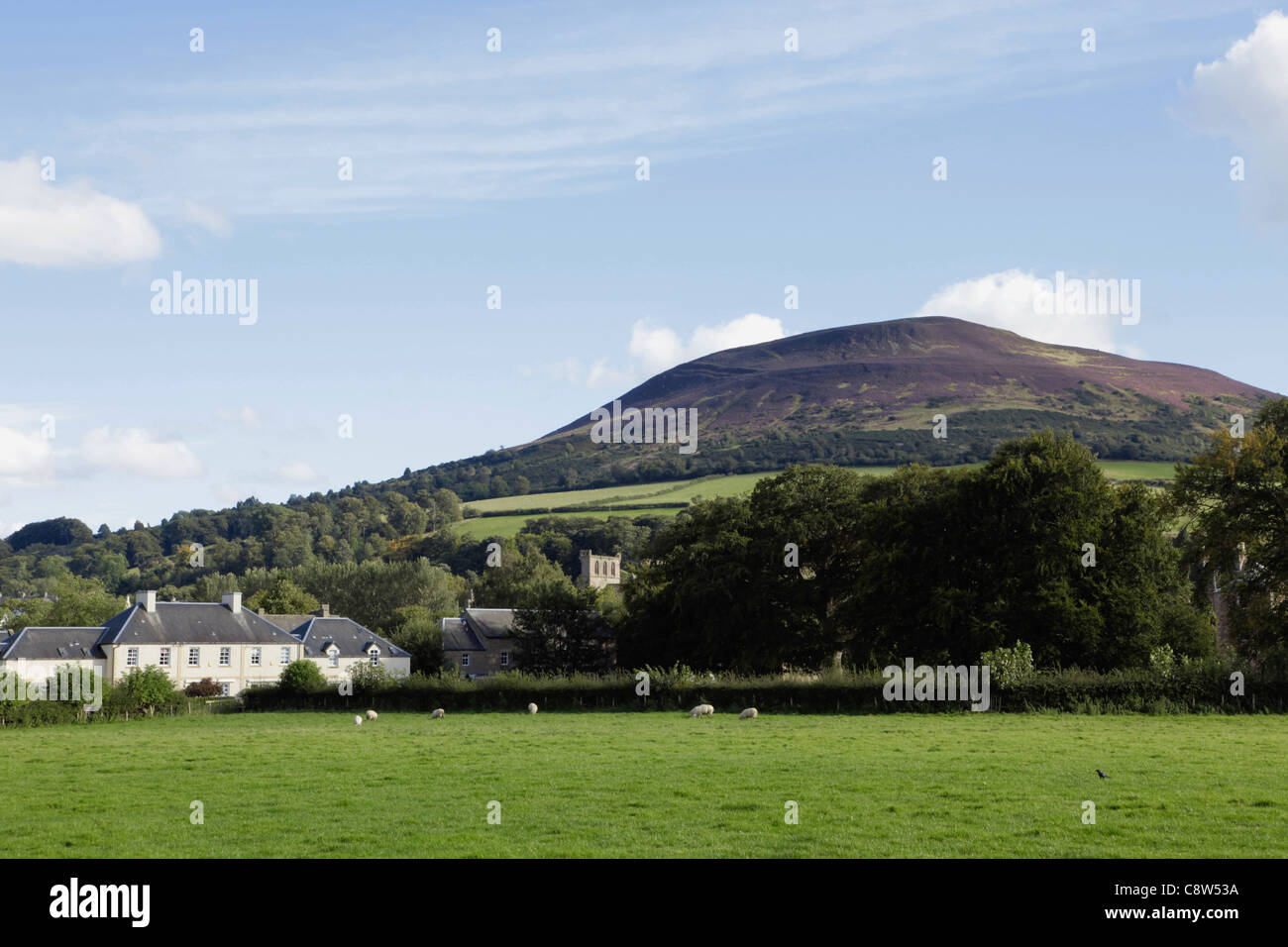 Eildon colline alle spalle di Melrose Scottish Borders Foto Stock