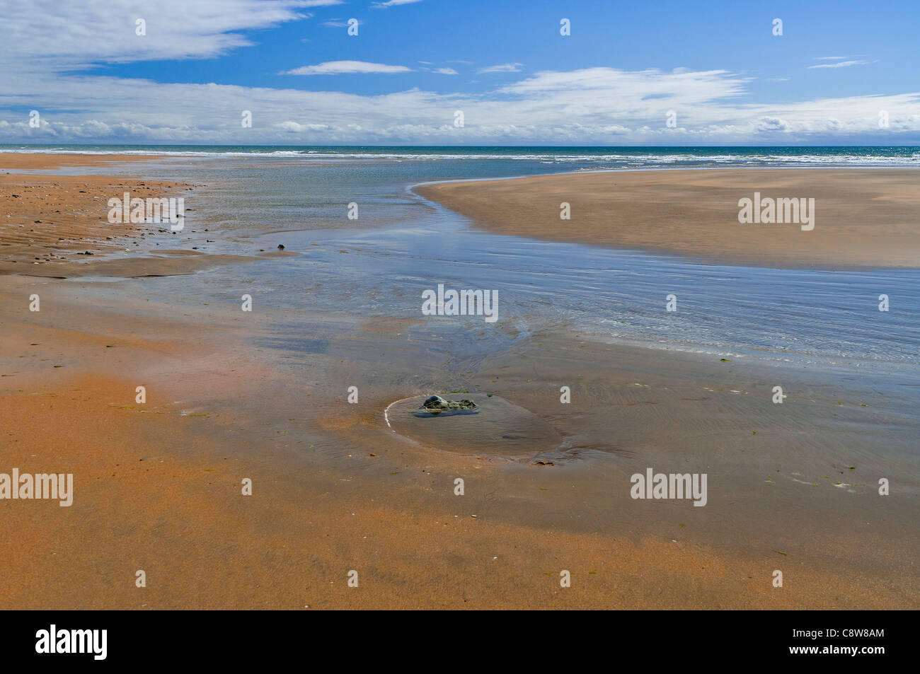 La spiaggia di sabbia sulla costa atlantica, Francia Foto Stock