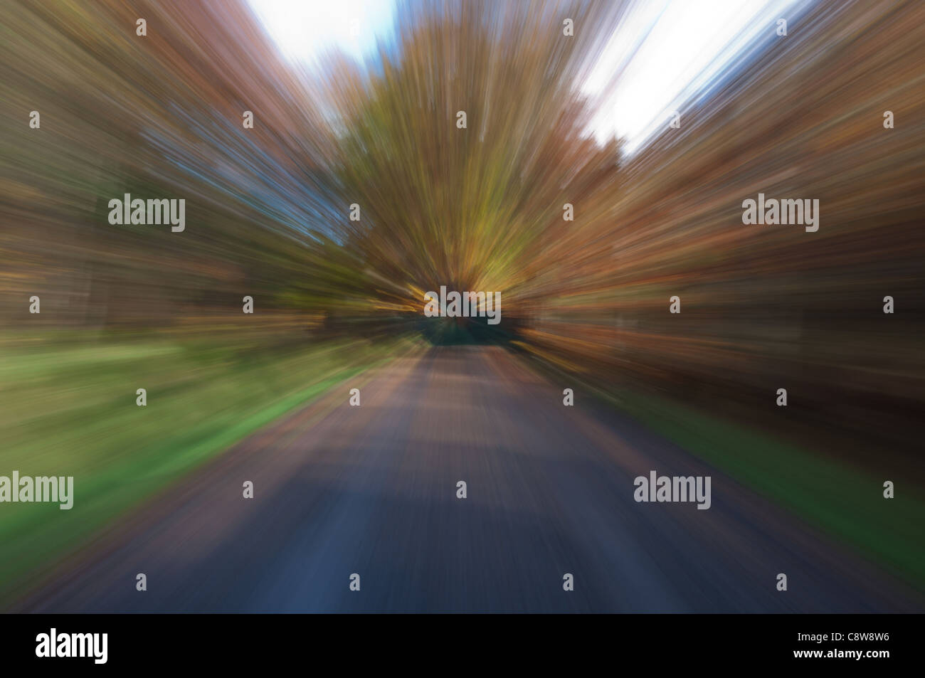 Concetto di immagine di zoom per dare l'effetto della velocità e la sfocatura, in una giornata autunnale nella foresta di hamsterley nella contea di Durham, North East England. Foto Stock