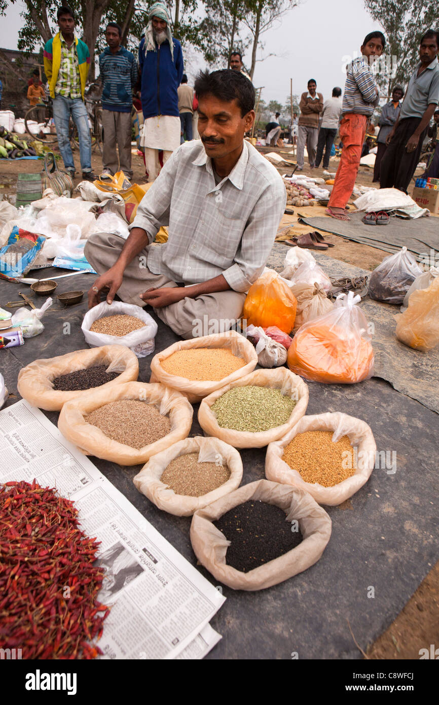 India, Assam, Jorhat, Gatoonga Tea Break Village market, trader vendono spezie Foto Stock