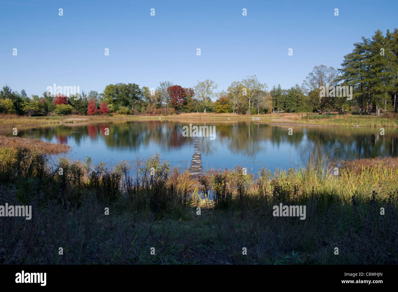 Lago di prato e alberi circostanti la visualizzazione di colori autunnali presso Morton arboretum in lisle illinois Foto Stock