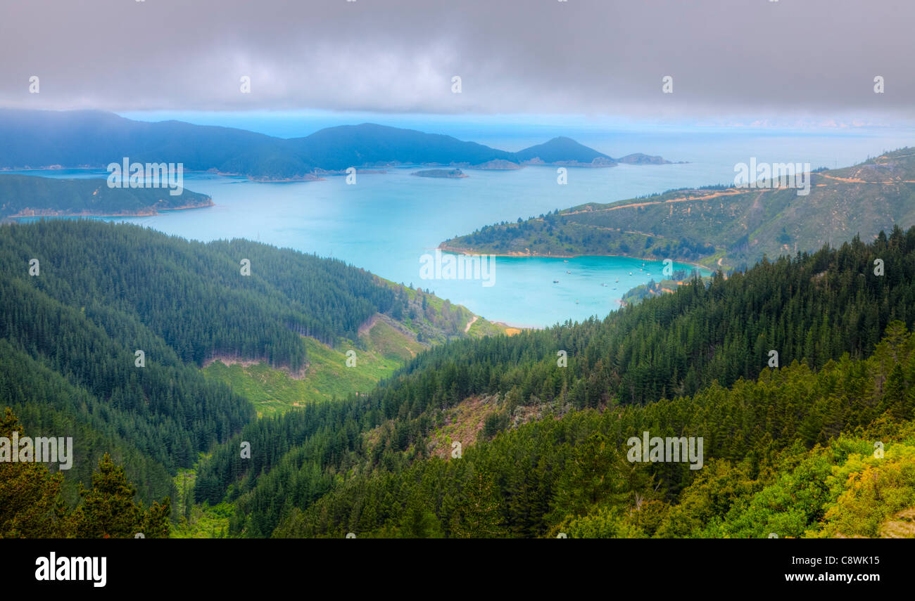 Vista panoramica di Oyster Bay vicino a Picton in Nuova Zelanda Foto Stock