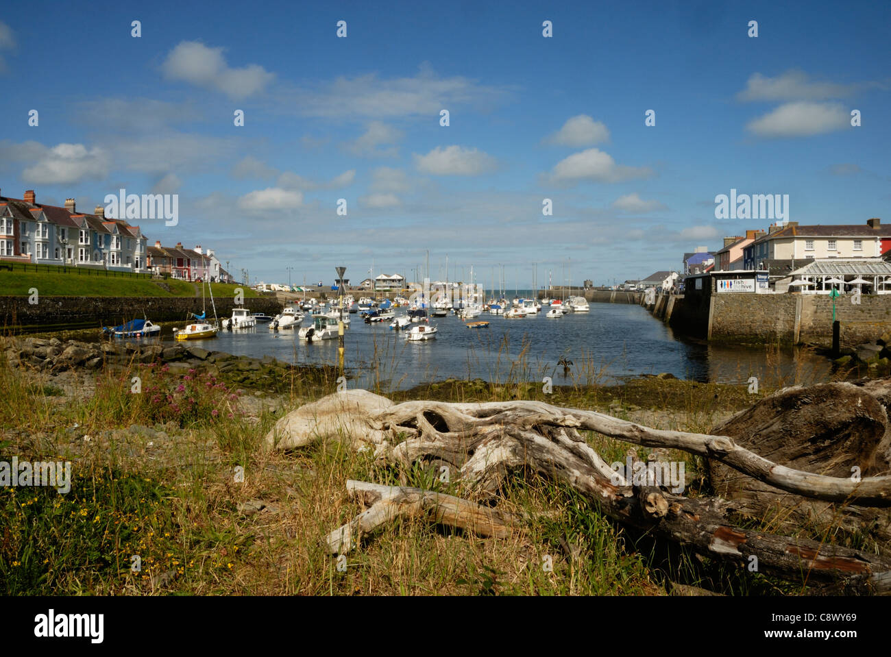 Aberaeron Harbour, il Galles. Foto Stock