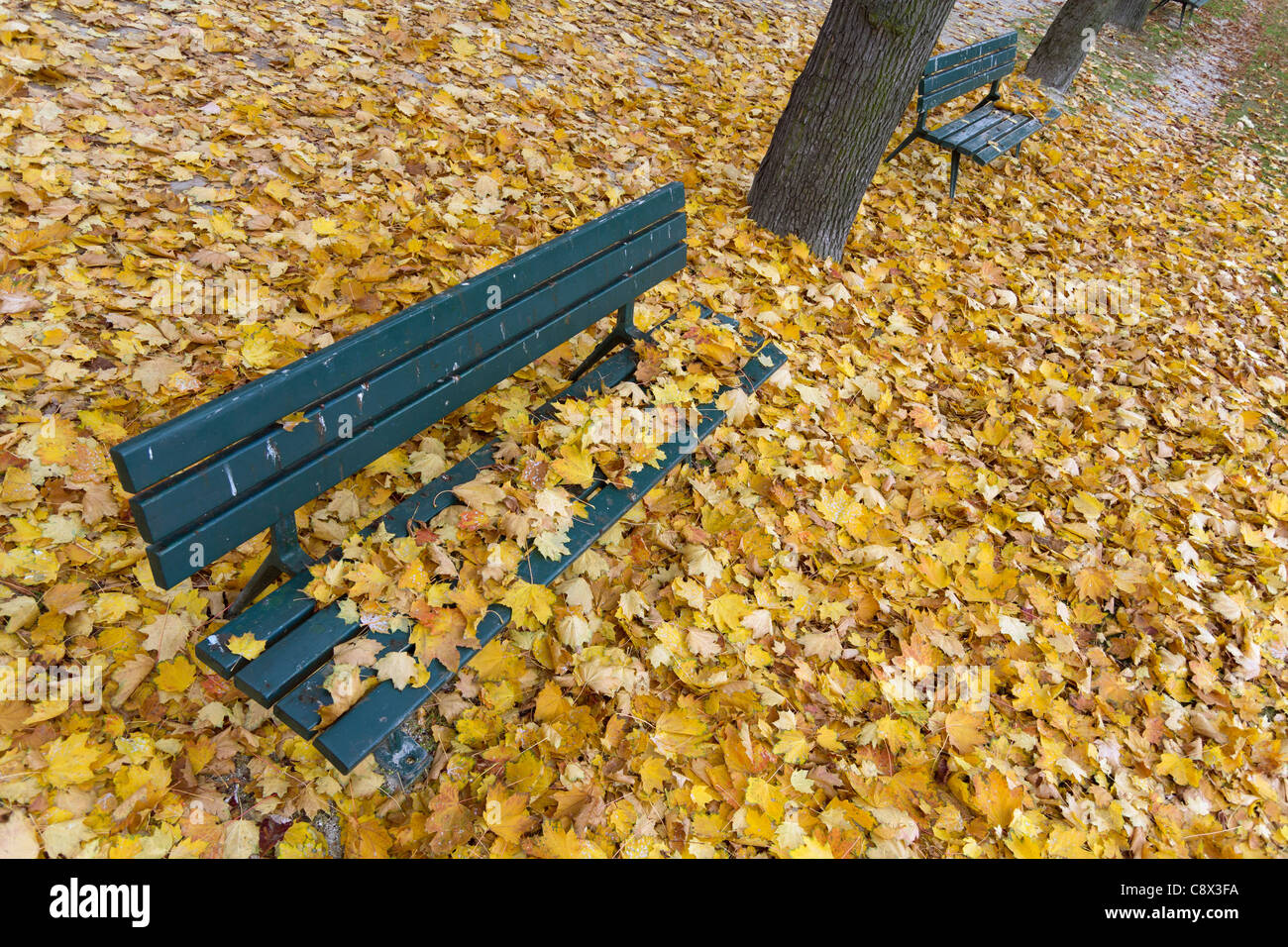 Sedi pubbliche e foglie di autunno a Parigi, Francia Foto Stock