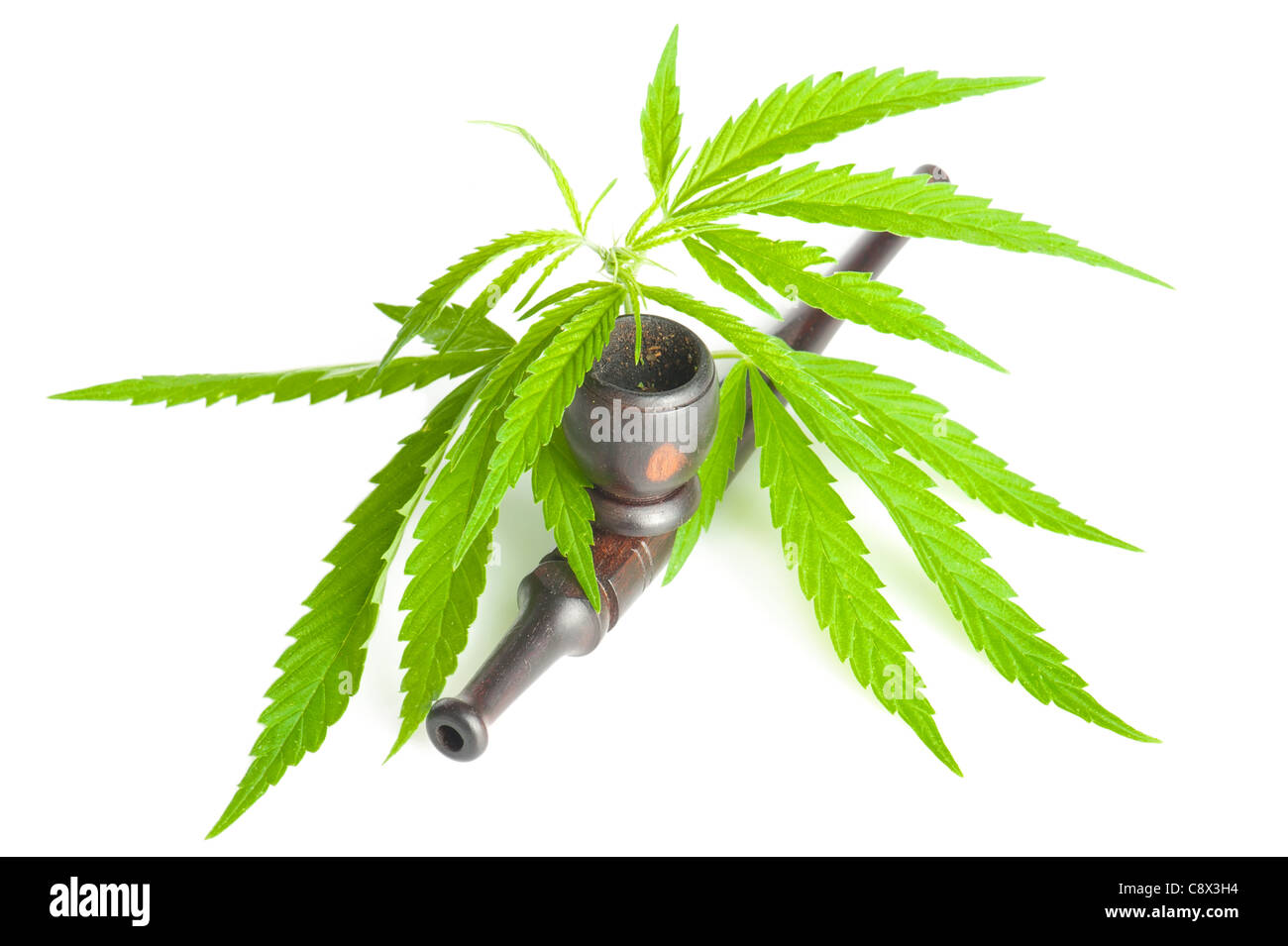 La cannabis. Foglia di marijuana e tubo di fumo isolati su sfondo bianco Foto Stock