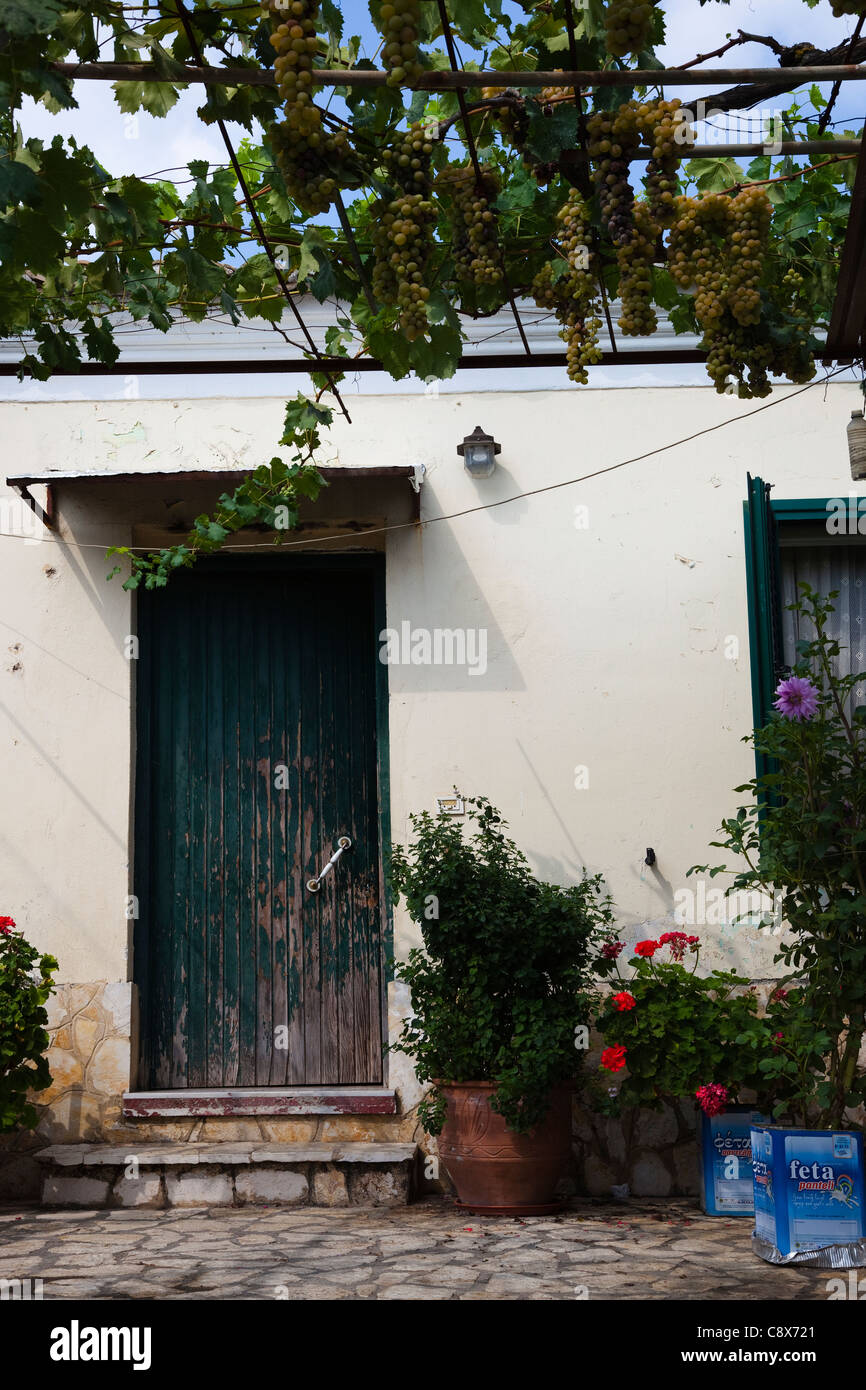 Vecchia porta a spiovente e giardino frontale con vitigni e uve, vecchio villaggio, Corfù, Grecia Foto Stock